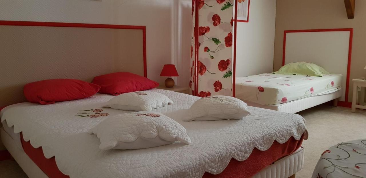 Les Brulis Chambre D'Hotes Chatillon-sur-Loire Екстер'єр фото